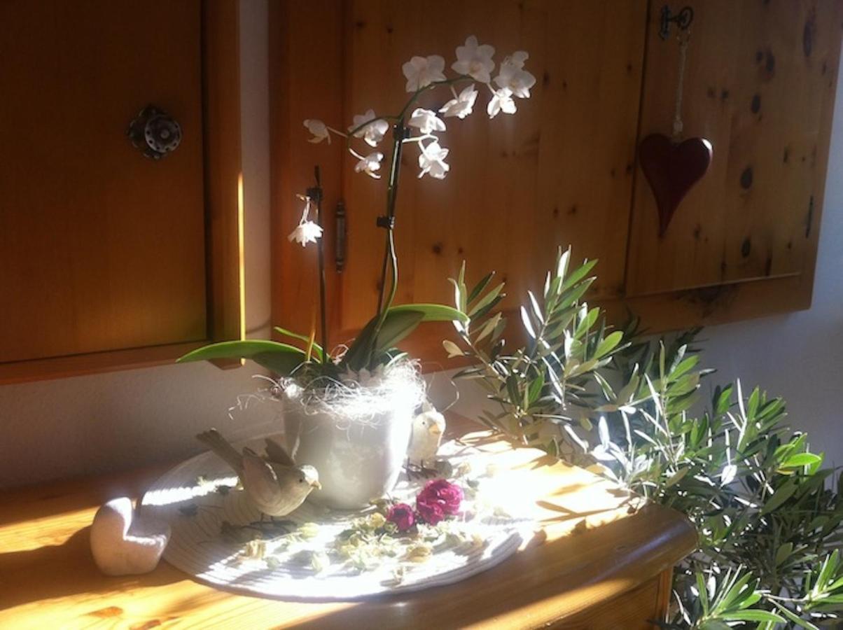 Pension Und Apartment Edelweiss Heiligenblut Buitenkant foto